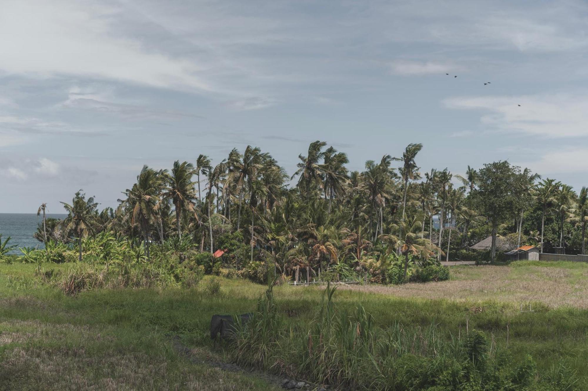 Dune Seseh Munggu Exterior foto